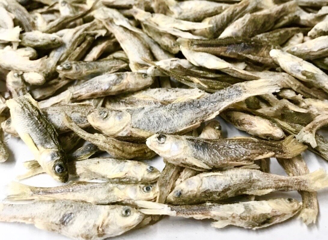 Freeze dried minnows for cats deals